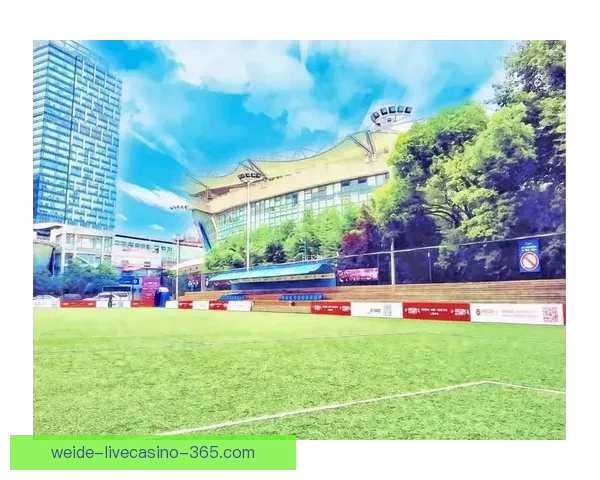 围绕足球竞猜网站打造安全稳定高效智能体育投注新体验平台方案的