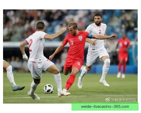 世界杯精彩赛事尽在掌握，专业竞猜攻略助你稳赢全场